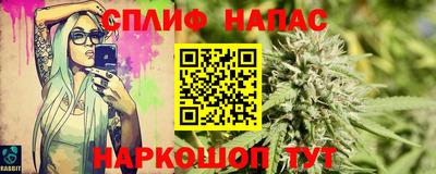 стаф Камышлов