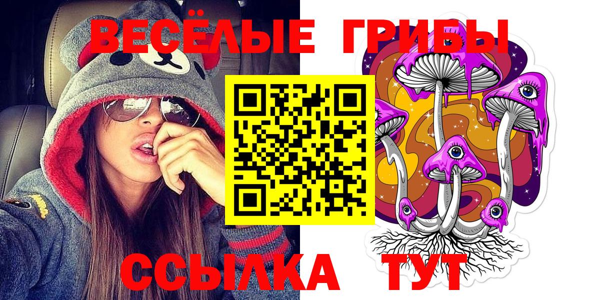 Красноярск  Галлюциногенные грибы Cubensis  купить  сайты  Вход с VPN 